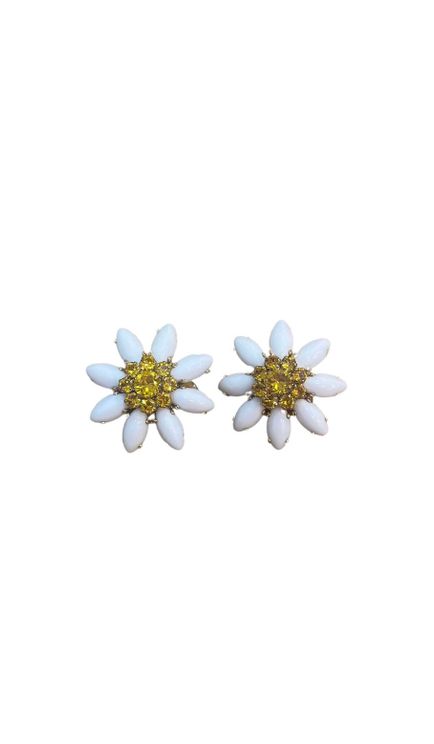 Daisy Clips