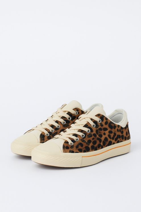 Urban Wildcat