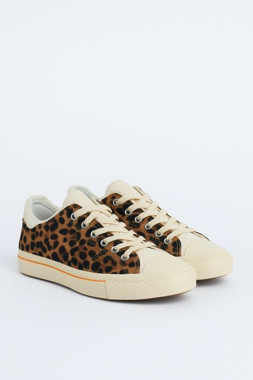 Urban Wildcat