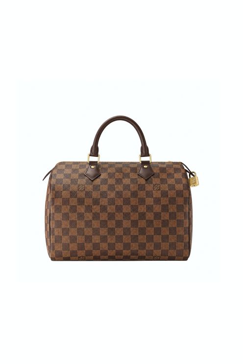 LV Speedy 30 Damier