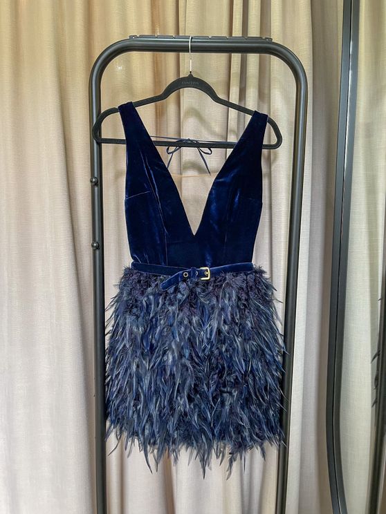 Midnight Plumage