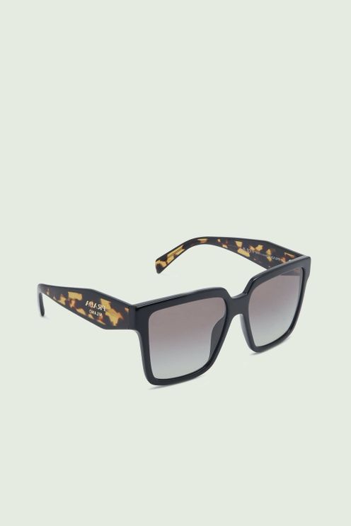 Midnight Tortoise Statement